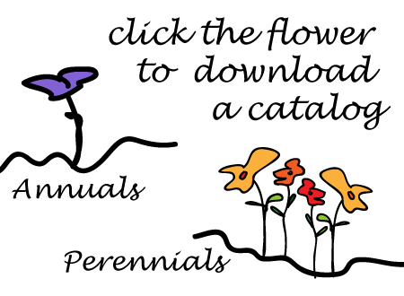 Ilustración para nursery web page